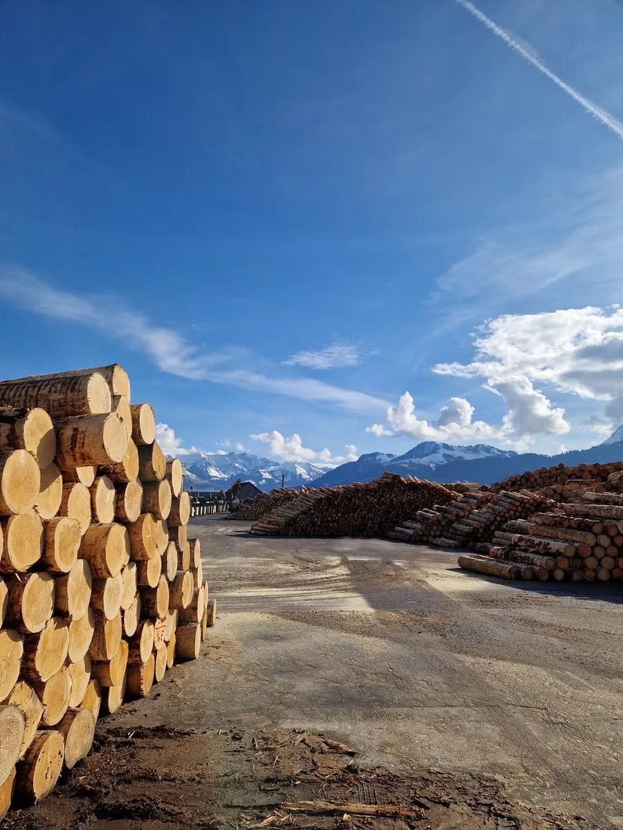 Grumes de bois empilées sur un chantier sous ciel bleu