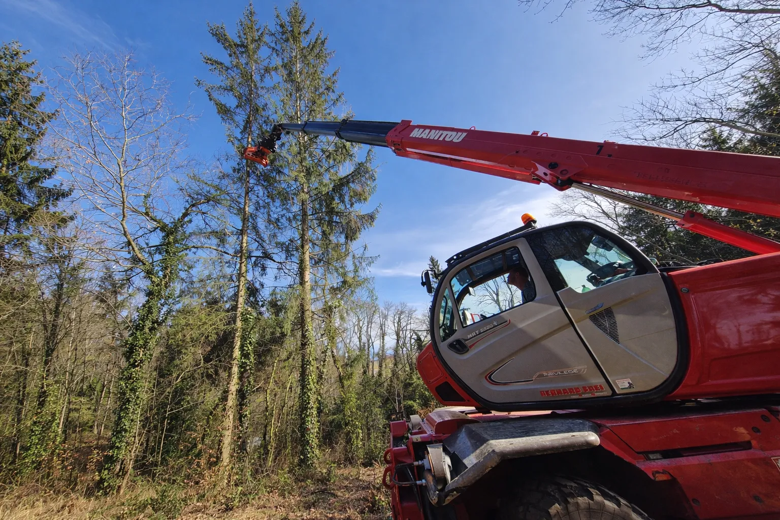Manitou en action dans la forêt pour l'abattage sécurisé